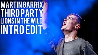 Martin Garrix &amp; Third Party - Lions in the wild (Intro edit)