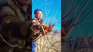 Download lagu teknik cerdas kreatif memotong ranting kayu dengan alat sederhana #shorts mp3