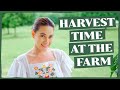 FARM UPDATE: OUR NEW VEGETABLE GARDEN + LAZY RAINY AFTERNOON AT BEATI FIRMA | Bea Alonzo