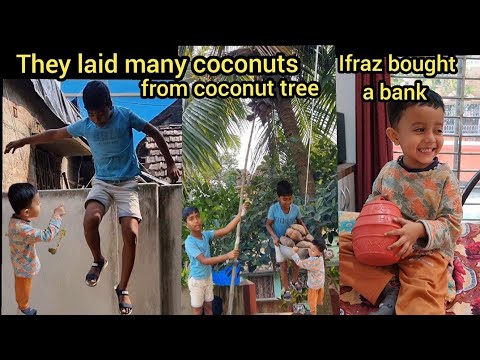 Wow huge coconut🥥 laid by Ifraz and Rahit 🌴, Ifraz bought a bank,how much money put in it? #funny