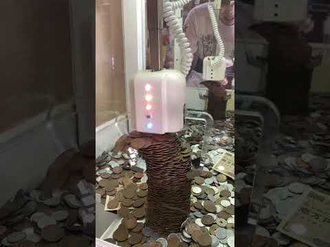 「レアを現金で」: 夏休みはありますか?