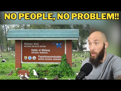 South African Reacts to The most remote place in America Midway Atoll