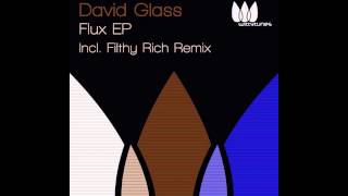 David Glass - Flux (Filthy Rich Dope Beat Remix) [Witty Tunes]