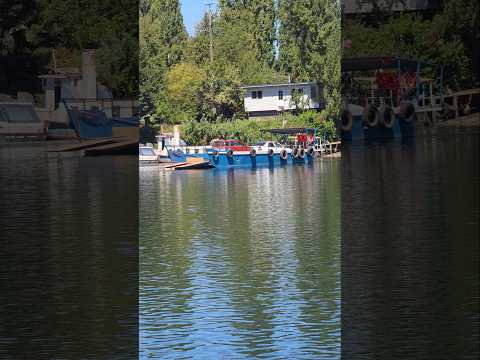 El recorrido histórico del Río Bueno #riobueno #puertotrumao  #regiondelosrios #launion