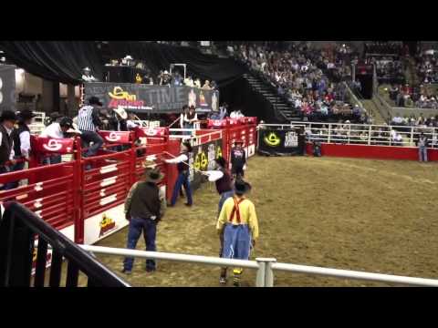 Bull Surprises Clowns at San Antonio Rodeo