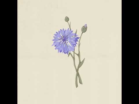 lyle kam - june (audio)