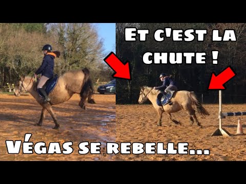 [COURS] Saut d’obstacles ! (CHUTE 😂) 18/01/20 - CS’o Landreau