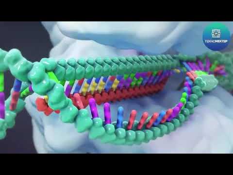 DNA
