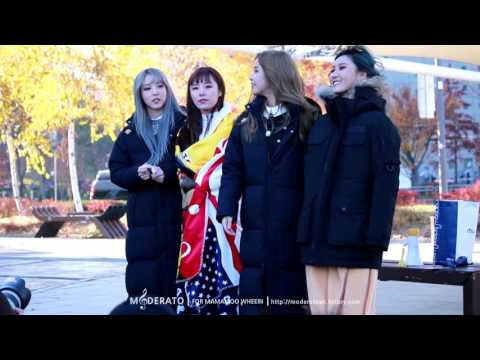 161115 더쇼 미니팬미팅 마마무 클립영상