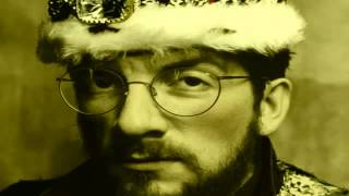 Elvis Costello - Brilliant Mistake (Studio Version)