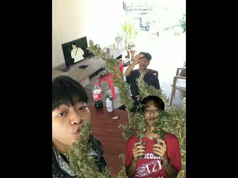 Pxtdroz - Metro Stoner ft. OTxp , 2GBABYHOOD , UGLY K (Official Audio)