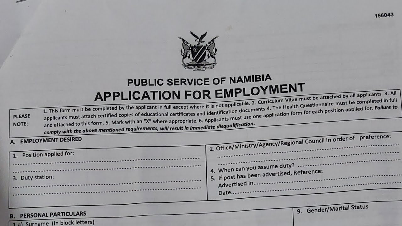 how to fill in a Government Application form CORRECTLY :NAMIBIAN YouTuber