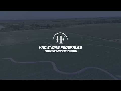 Campo con riego en venta en Ingeniero Forres | 110 ha agrícolas y ganaderas