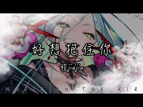 程jiajia - 好想抱住你『可惜不是你 陪我走下去』【動態歌詞】