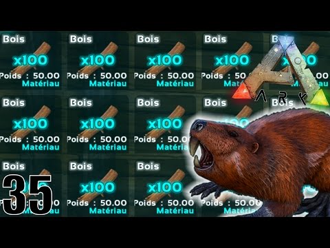 OBTENIR DU BOIS ILLIMITÉS ! | ARK: Survival Evolved ! #Ep35