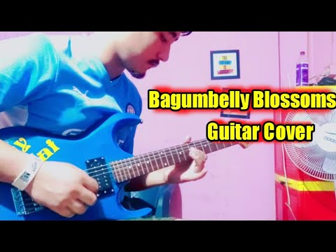 Bagumbeli blossoms guitar cover 🎸❤️ - Gopal Rasaily, Phiroj Syngdan