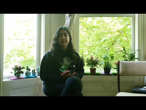 Proposed Solution for Antibiotic Resistance - AMR Northern Ireland