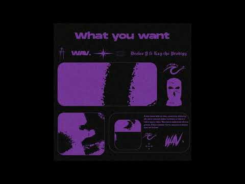 [FREE] Deelee S x Kay the Prodigy sampled Drill type beat - "What you want" (Prod. by WAV.)