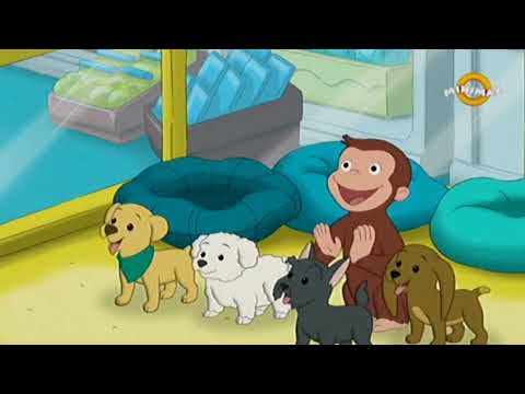 Radoznali Majmun Dzordz - Izgubljeno kuce E138