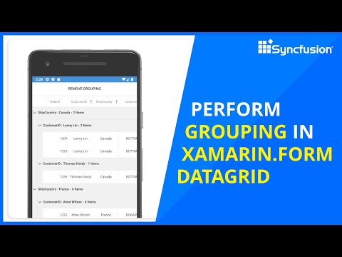 Perform Grouping in Xamarin Forms DataGrid