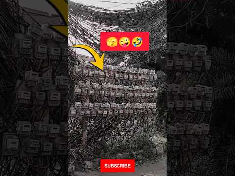 “Only in Pakistan! Thousands of Meters on One Pole 😂⚡🔌 #funnyvideo #trendingnow #comedy #shorts #yt