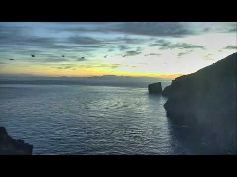 Anacapa Island Cove - Channel Islands National Park 12-20-2018 14:30:15 - 15:30:18