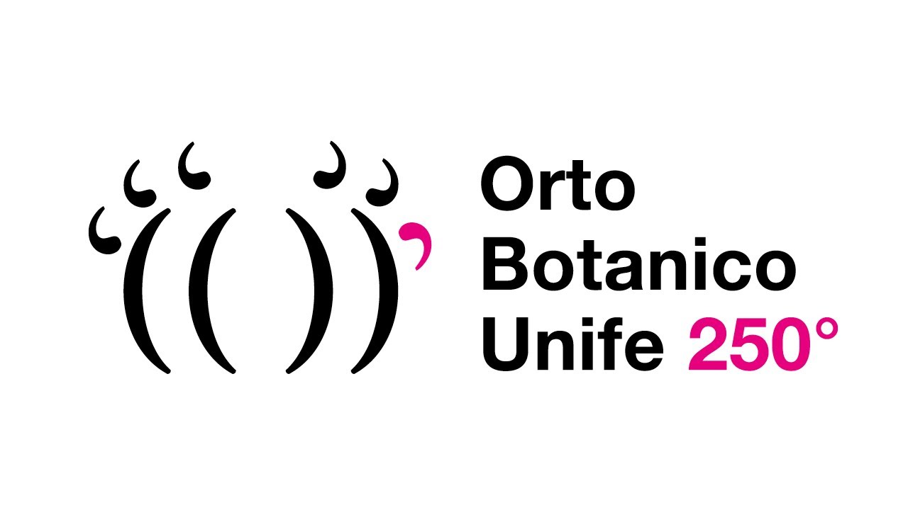 Orto Botanico: Gherardo Cibo dilettante di botanica e pittore di paesi