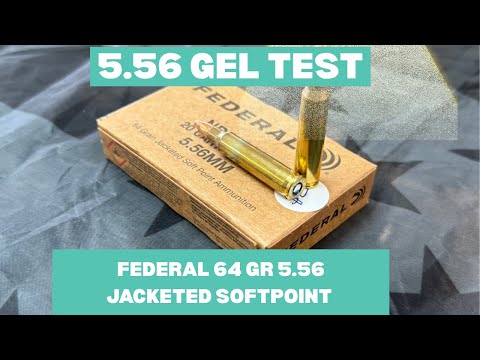5.56 ballistic gel and velocity test for federal 64gr ND55664jacketed SP with 7.5” and 11.5” barrels