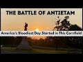 The Cornfield at Antietam