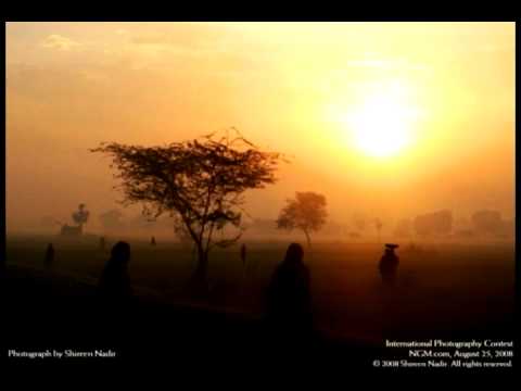 Veritasaga   Dor De Casa