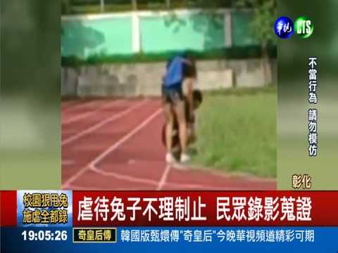 牠不是出氣包! 殘忍情侶拋摔活兔