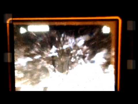 Under the Clothesline - Scissor Bill