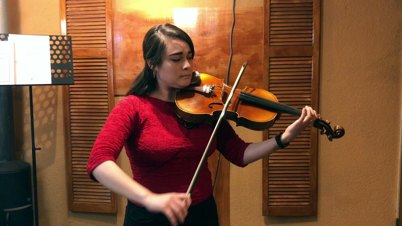 Promotional video thumbnail 4 for Echo Chamber Ensemble