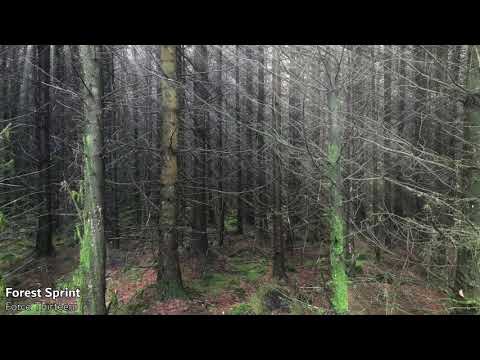 Force Thirteen Music Megamix 2021