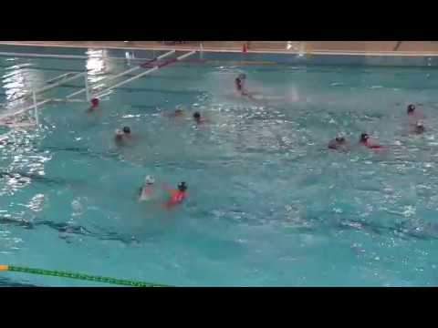 Pallanuoto Trieste vs Rn Florentia (12 gennaio 2017)