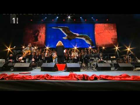 Svoboda DRAGO MISLEJ MEF