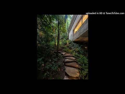 "Jungle" Broederliefde x Frenna x Chivv x Jonna Fraser TYPE BEAT