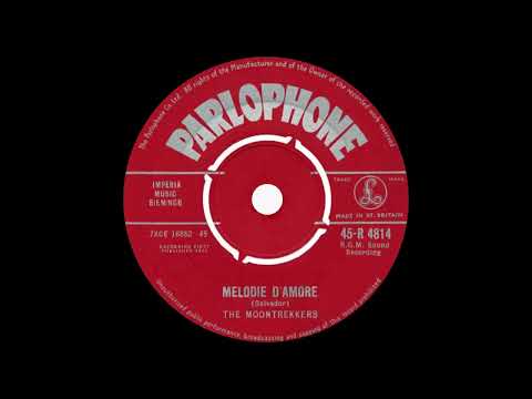 Melodie D'Amore- The Moontrekkers (instrumental) (cover Henri Salvador)