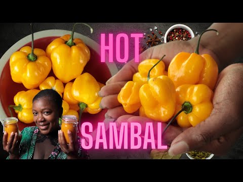 Recept Hot Sambal - spicy piccalilly - hete adjoema pepers - In de keuken van Sirmean