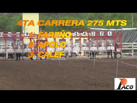 CALEF SOHAR 7 11 2021