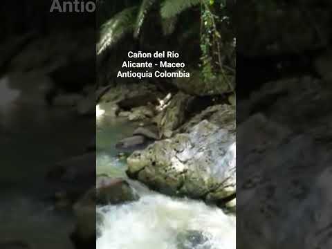 Conocé este hermoso lugar con Maceo Pathway - 314 627 9343