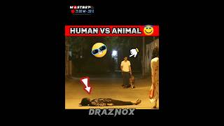 POV:-HUMAN VS ANIMAL 👊👻 hanuman  #hanumanji 