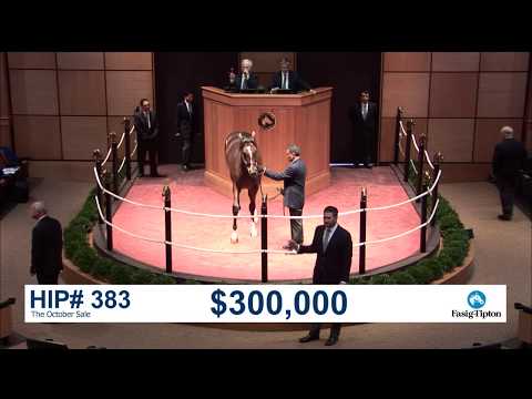 The October Sale (2018): Hip 383 c. American Pharoah sells for $300,00