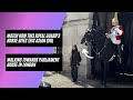 The Royal Guard S Horse Bites This Asian Girl London Walking Tour 4K