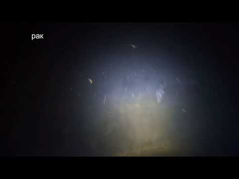 Анонс. В предверии рыбалки с рогаткой. Смотрим что можно подстрелить... Разведка.