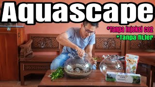 #353 Membuat Aquascape di tank bulat |Tanpa filter,Tanpa injeksi co2|Begini triknya!!