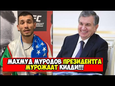 МАХМУД МУРОДОВ ПРЕЗИДЕНТГА МУРОЖАТ КИЛДИ. МАХМУД МУРОДОВ ГАЛАБА