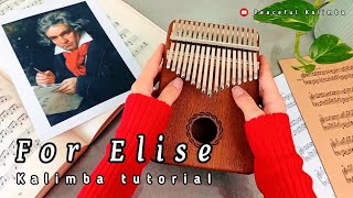For Elise kalimba cover song with easy tabs🌹Beethoven for Elise kalimba tutorial 🎶✨️