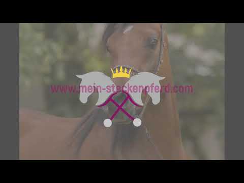 Hübsche und sportliche Ägyptische Araber Stute " SAMRAA ox. "