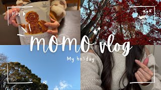 【vlog】一人暮らしOL 友達とご飯に行くまでの時間